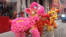 舞狮-庆典活动策划-演出主持人-演出策划-晚会策划