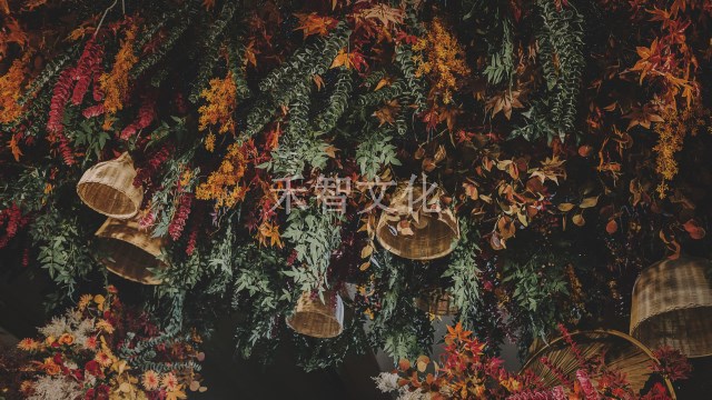 1609376946806080.jpg 1258.jpg