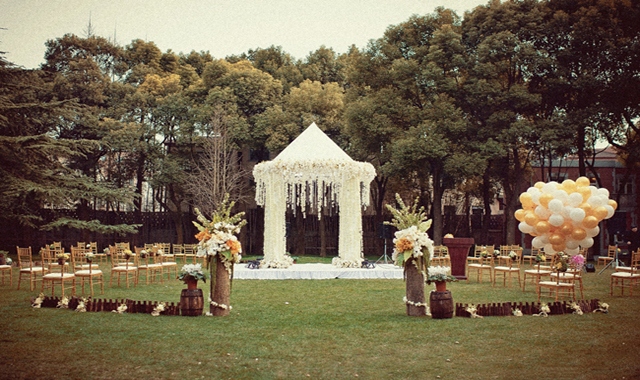 5540945935d57_800x600.JPG