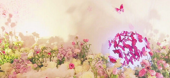 55beddf6ba40c_800x600.jpg